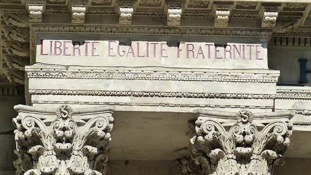 sector image